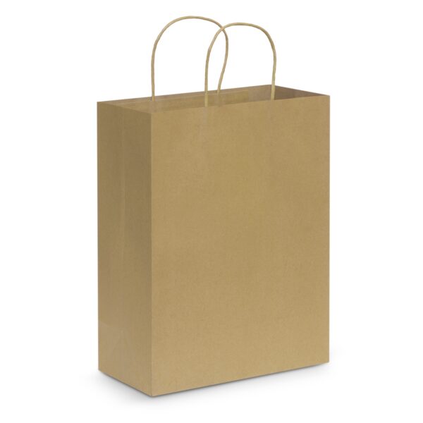 107590 - Paper Carry Bag - Large - Image 3