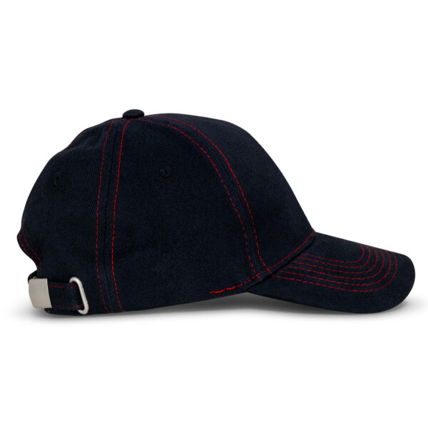 123010 - Raven Cap - Image 5