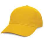 112786 - Condor Cap - Image 2