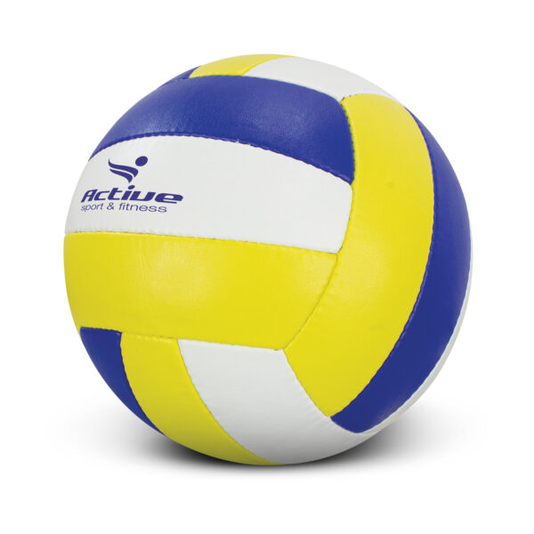117256 - Volleyball Pro - Image 2