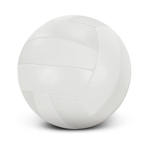 117256 - Volleyball Pro - Image 3