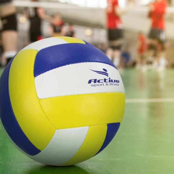 117256 - Volleyball Pro