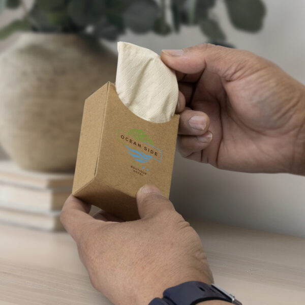 124160 - Travel Tissues