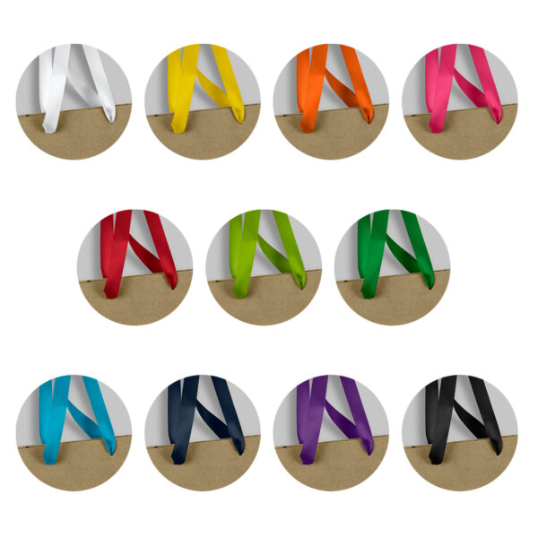 125055 - Champagne Ribbon Handle Paper Bag - Image 3